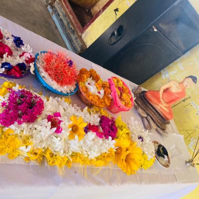 පොසොන් පොහොය වැඩසටහන